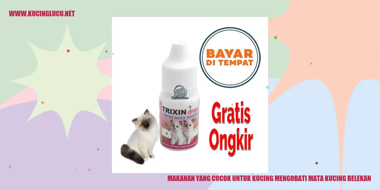 Makanan yang Cocok untuk Kucing mengobati mata kucing belekan