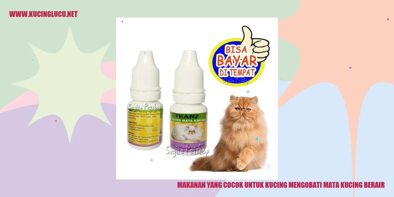 Kucing dengan mata berair