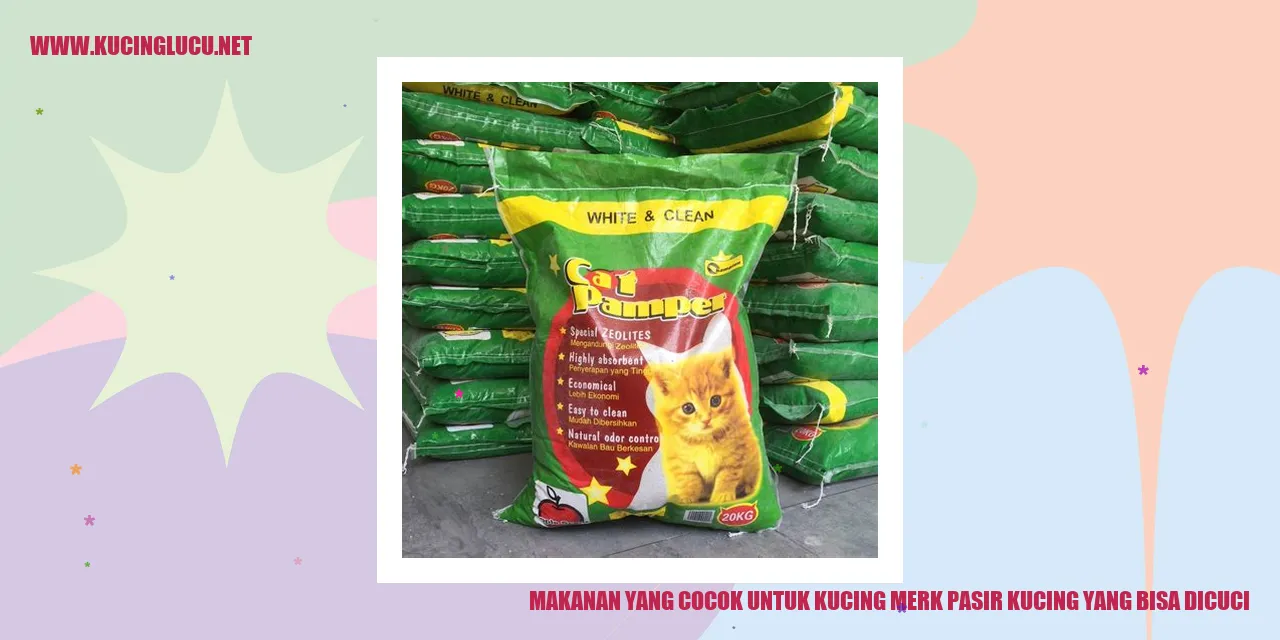 Makanan yang Cocok untuk Kucing