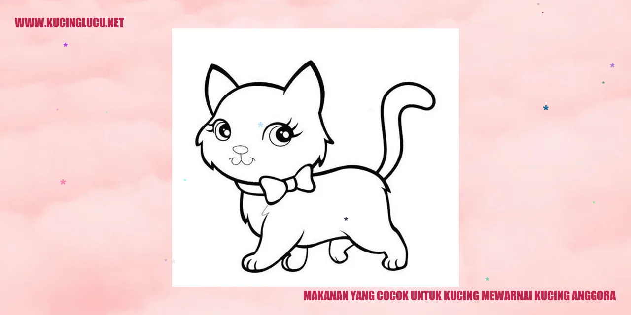 Makanan yang Cocok untuk Kucing Anggora