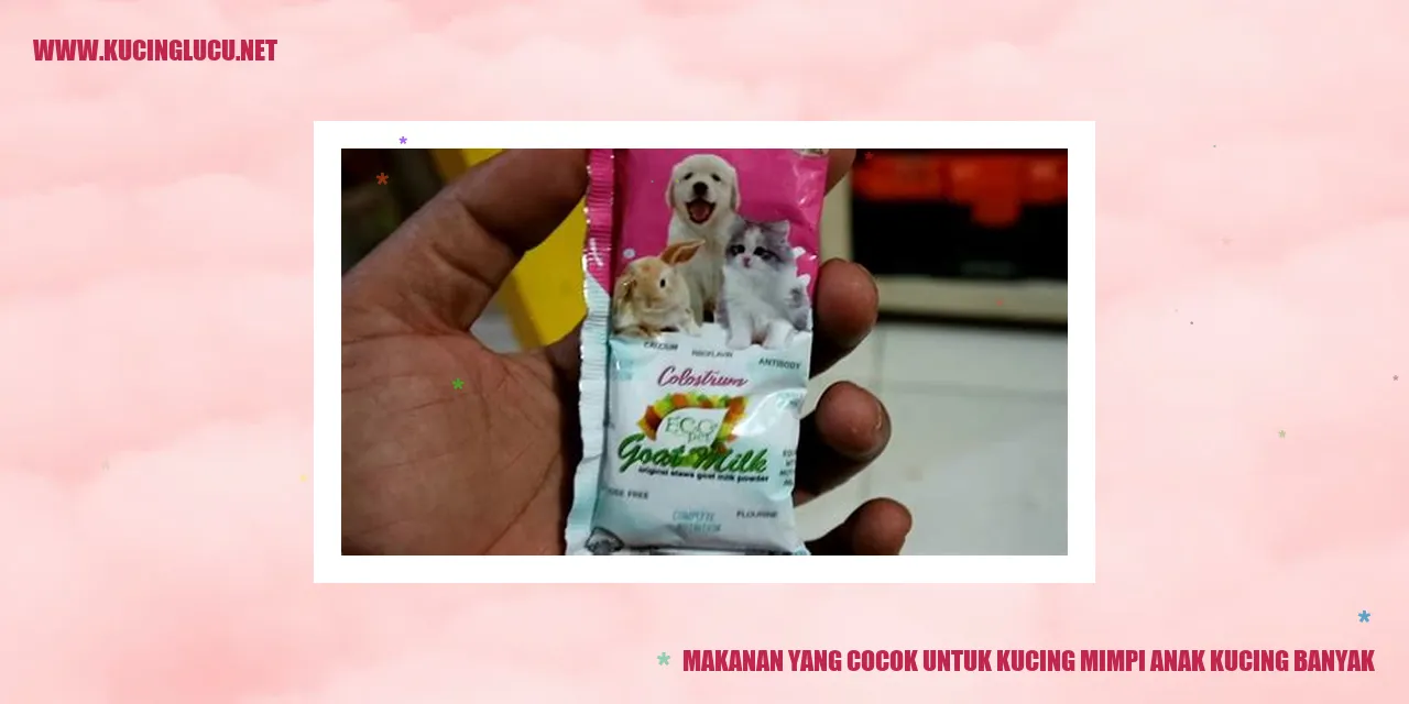 Makanan Kucing