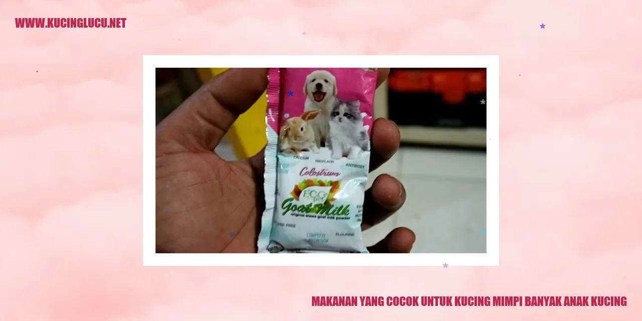 Makanan Kucing