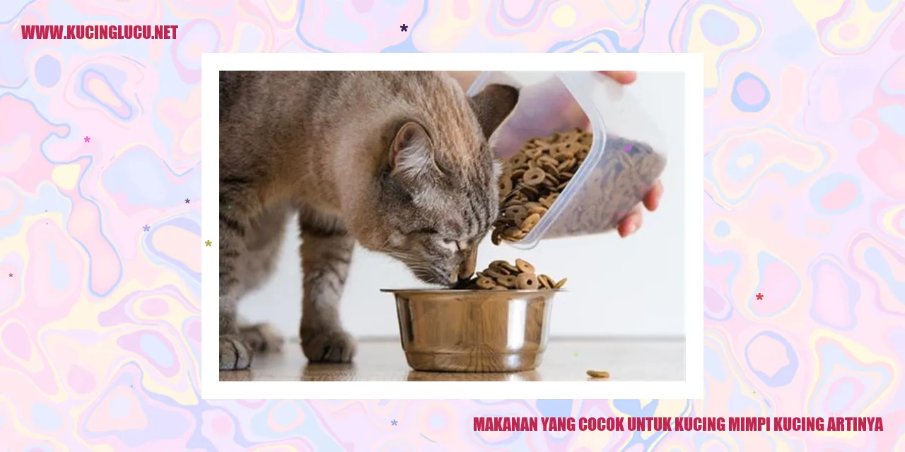 Makanan yang Cocok untuk Kucing