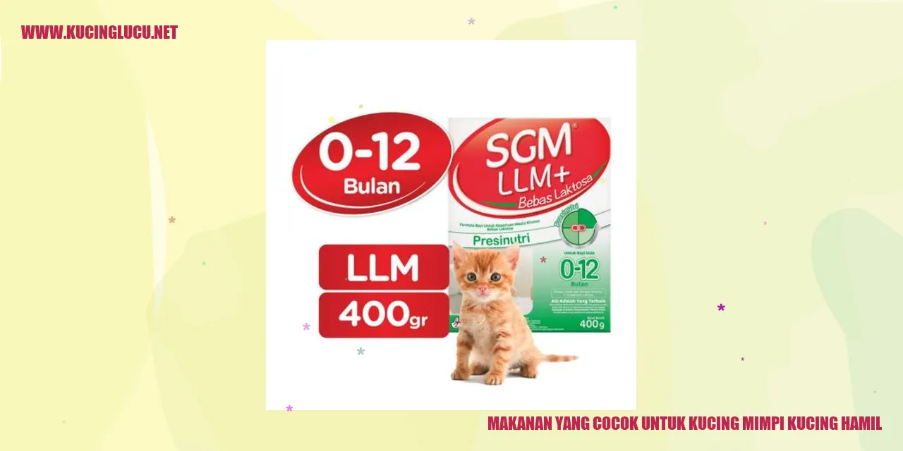Kucing Hamil