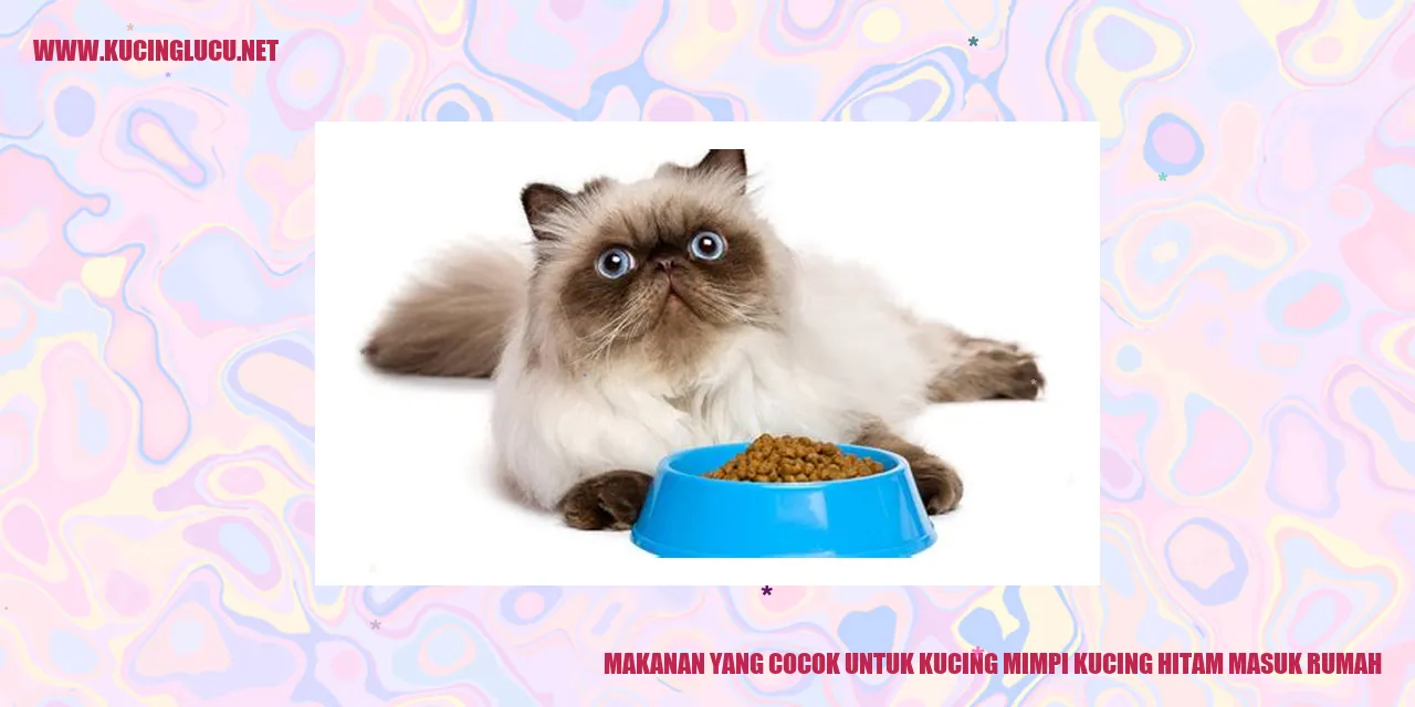 Makanan yang Cocok untuk Kucing mimpi kucing hitam masuk rumah