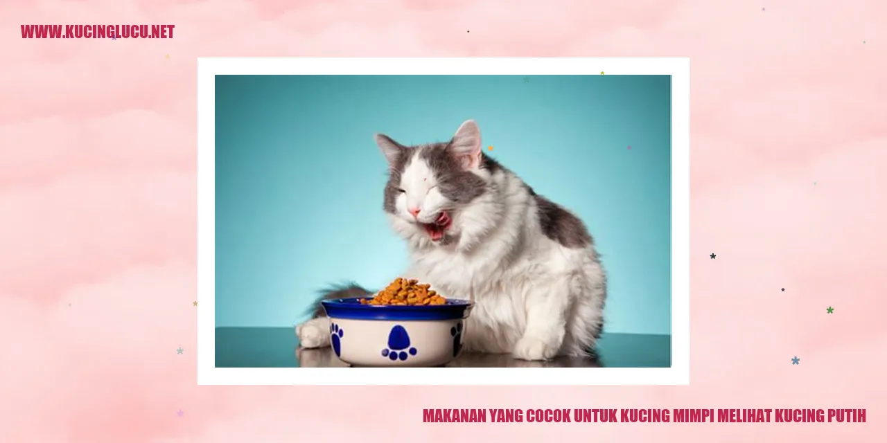 Gambar Kucing Putih