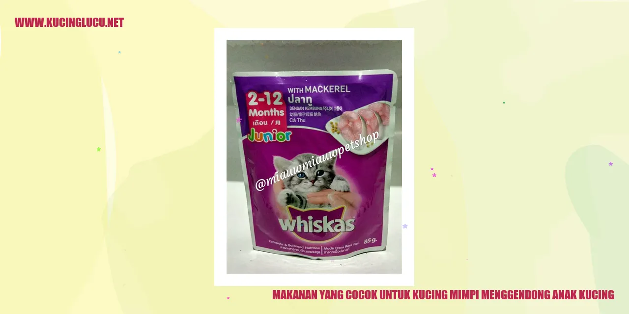 gambar kucing yang cocok untuk makanan kucing