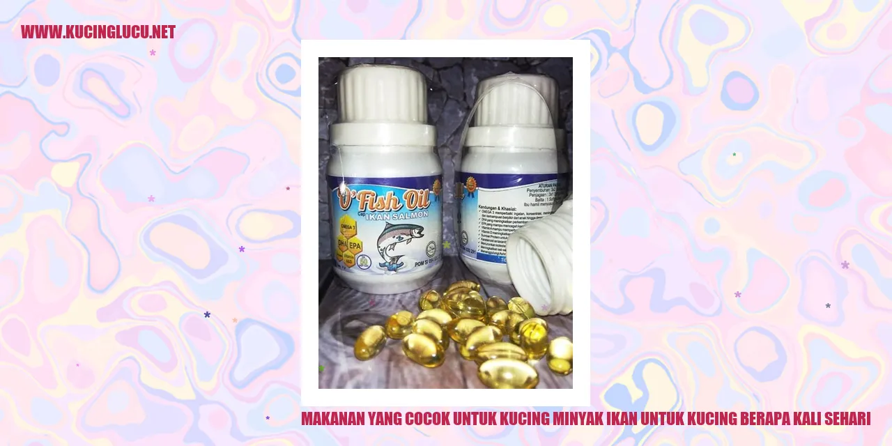 Makanan yang Cocok untuk Kucing