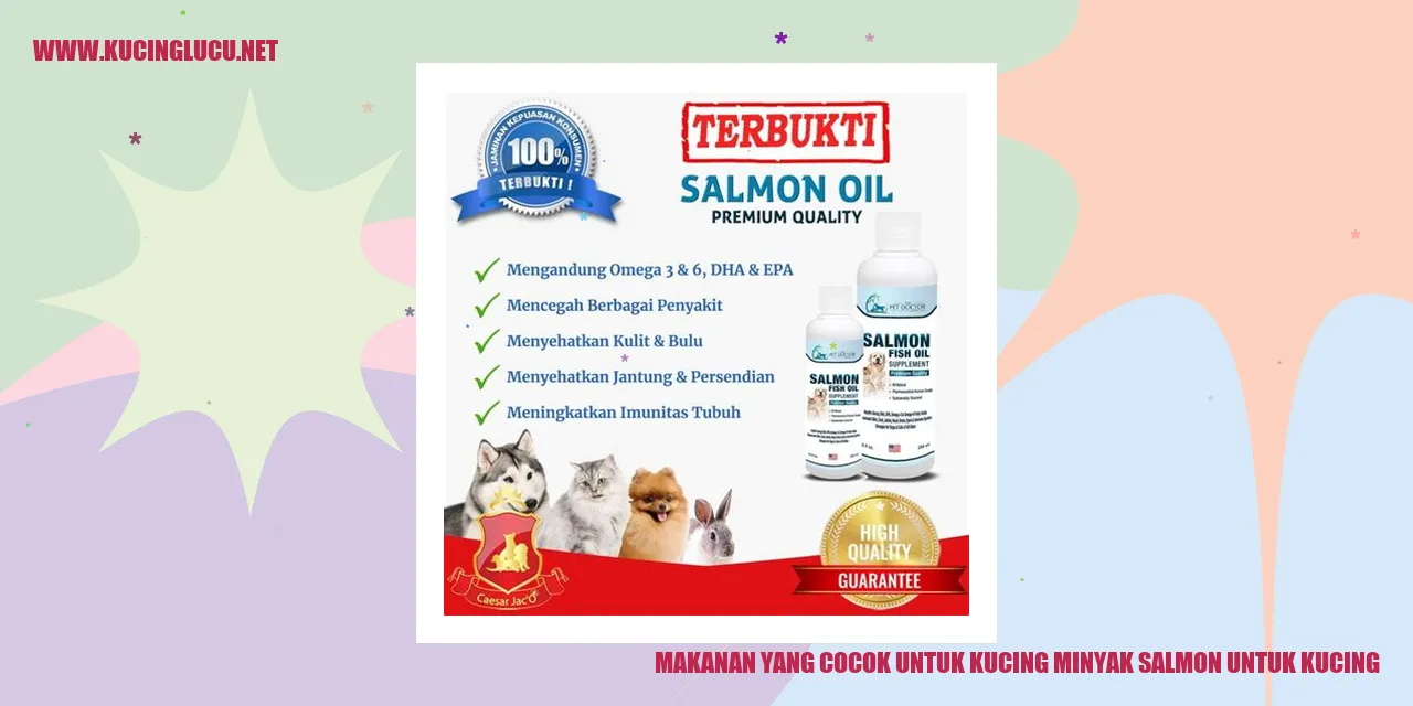 Minyak Salmon untuk Kucing