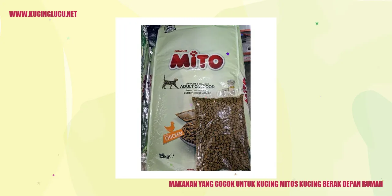 Gambar Makanan untuk Kucing