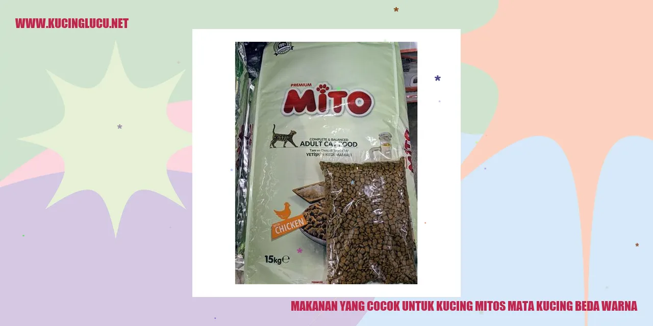 Makanan Kucing