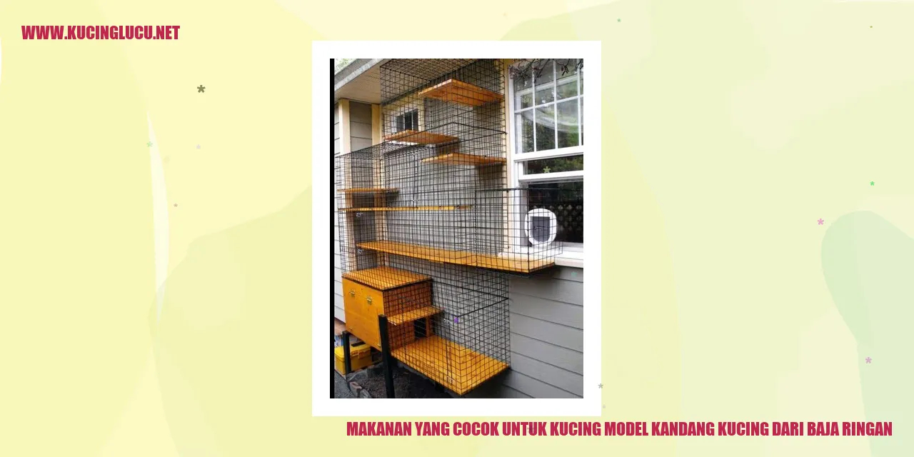 Makanan yang Diperlukan oleh Kucing