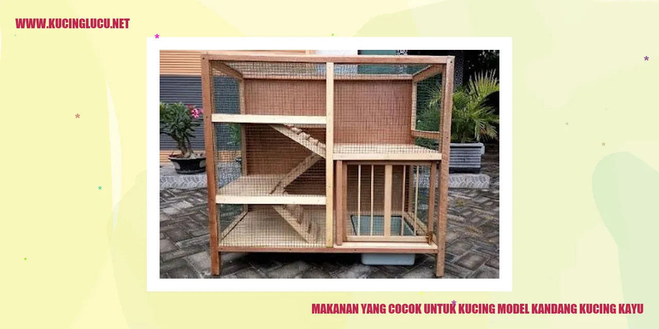 Makanan Kucing