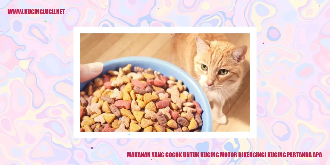 Ilustrasi Kucing