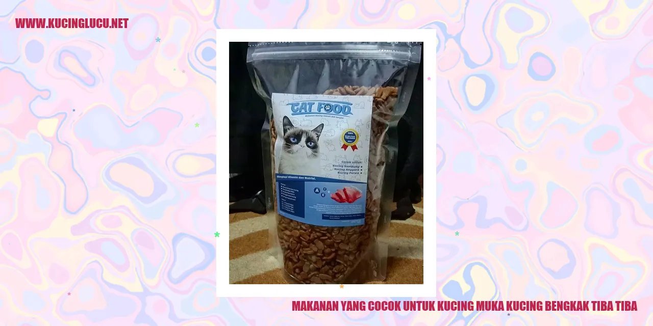 Kucing Bermuka Bengkak