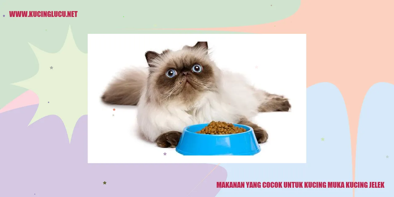 Makanan untuk Kucing dengan Penampilan Kurang Menarik