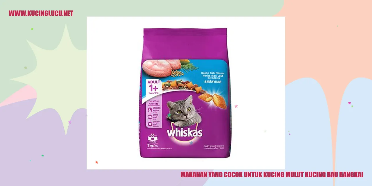 Kucing yang menikmati makanannya