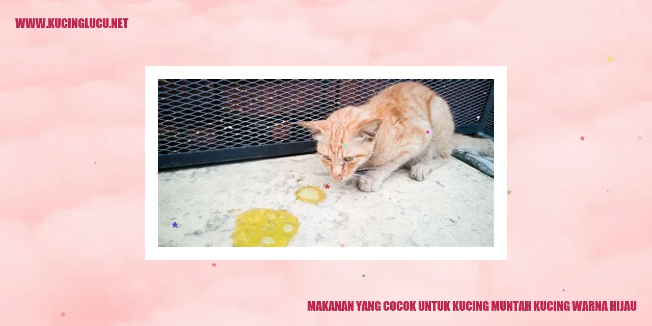 gambar makanan untuk kucing