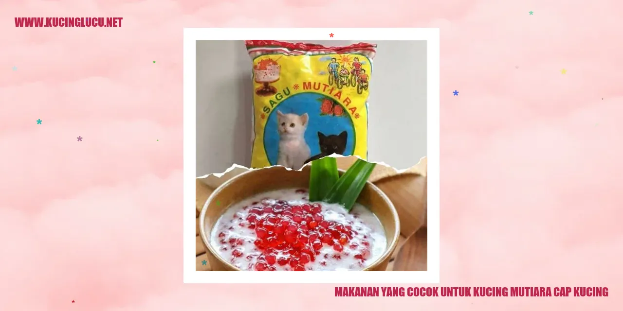 Makanan yang Cocok untuk Kucing Mutiara Cap Kucing