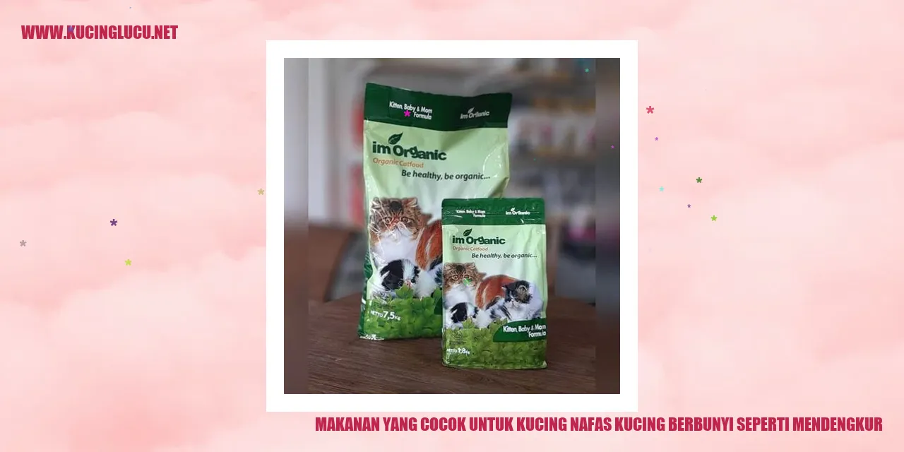 Makanan yang Cocok untuk Kucing