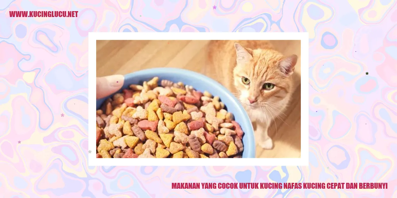 Makanan yang Cocok untuk Kucing nafas kucing cepat dan berbunyi
