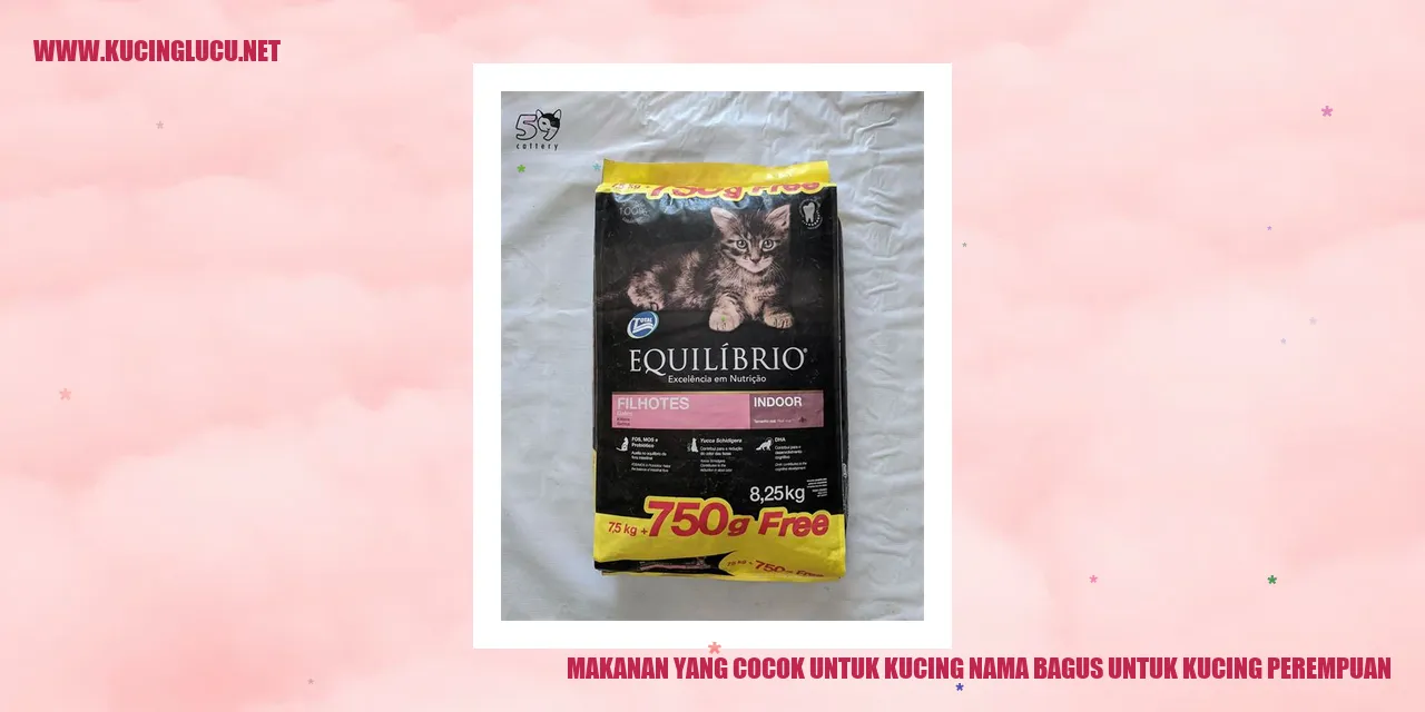 Gambar Makanan untuk Kucing dan Nama Bagus untuk Kucing Perempuan