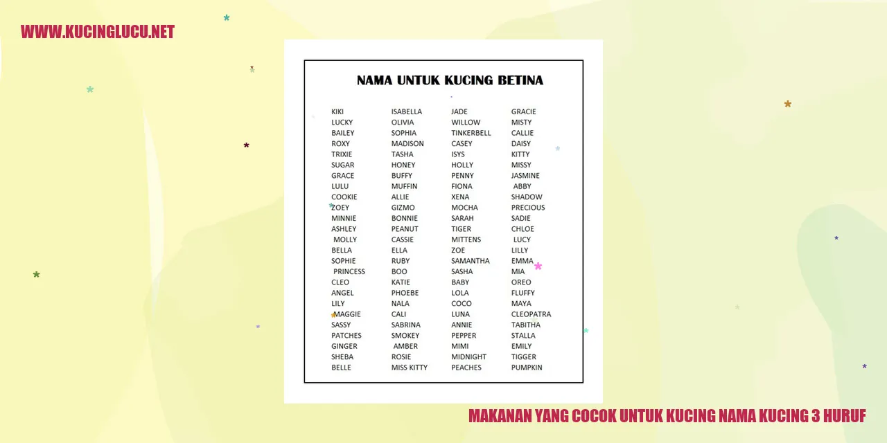 Makanan untuk kucing