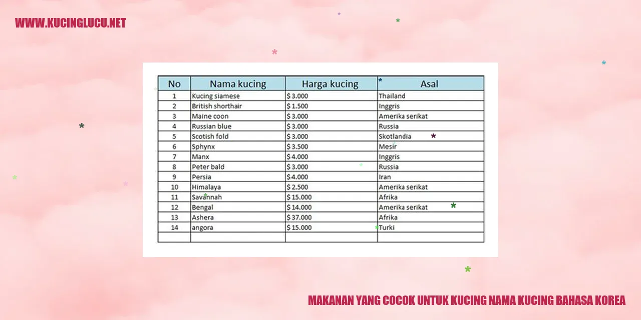 Makanan yang Cocok untuk Kucing