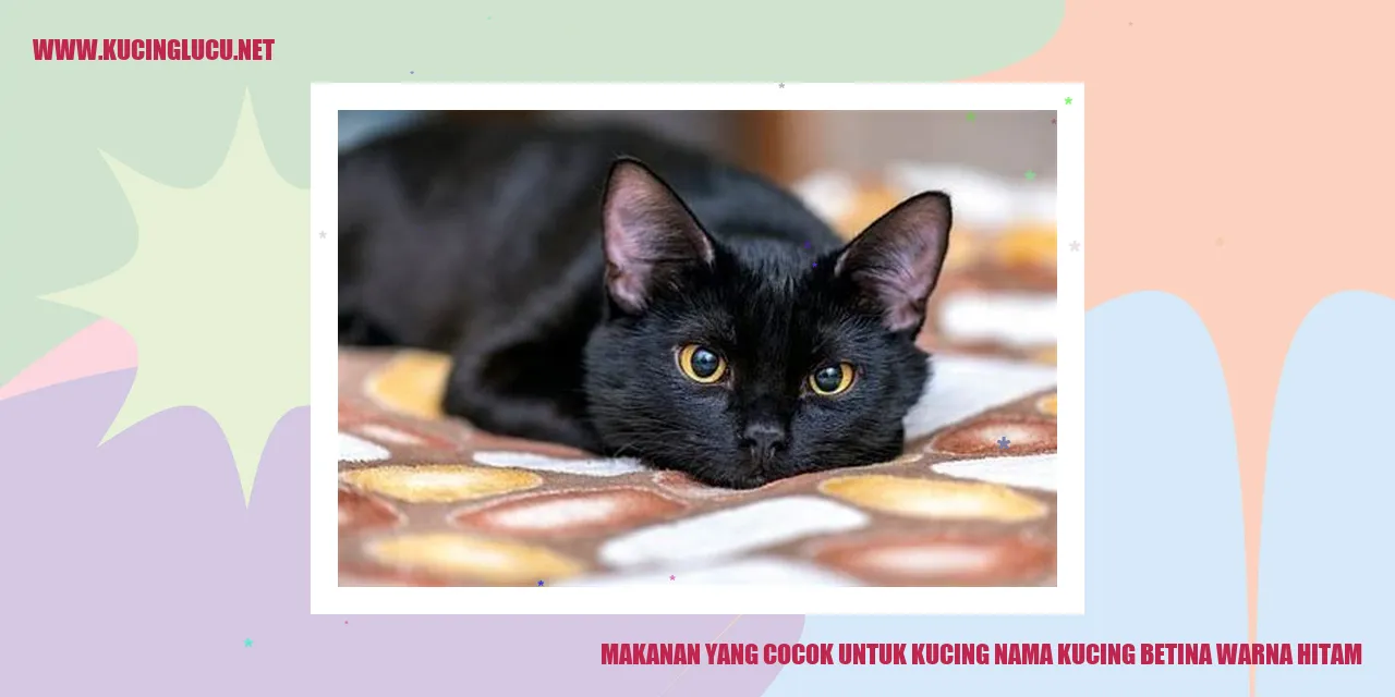 Gambar kucing hitam betina