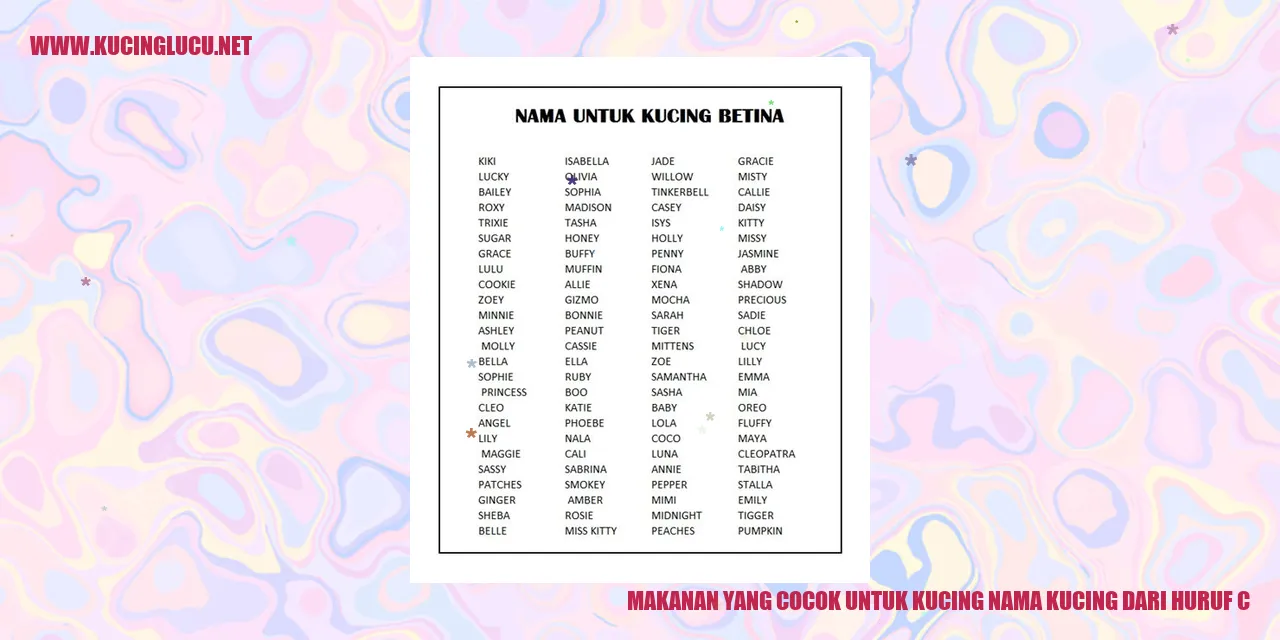 Makanan yang Cocok untuk Kucing
