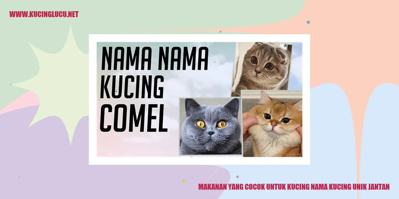 gambar makanan kucing