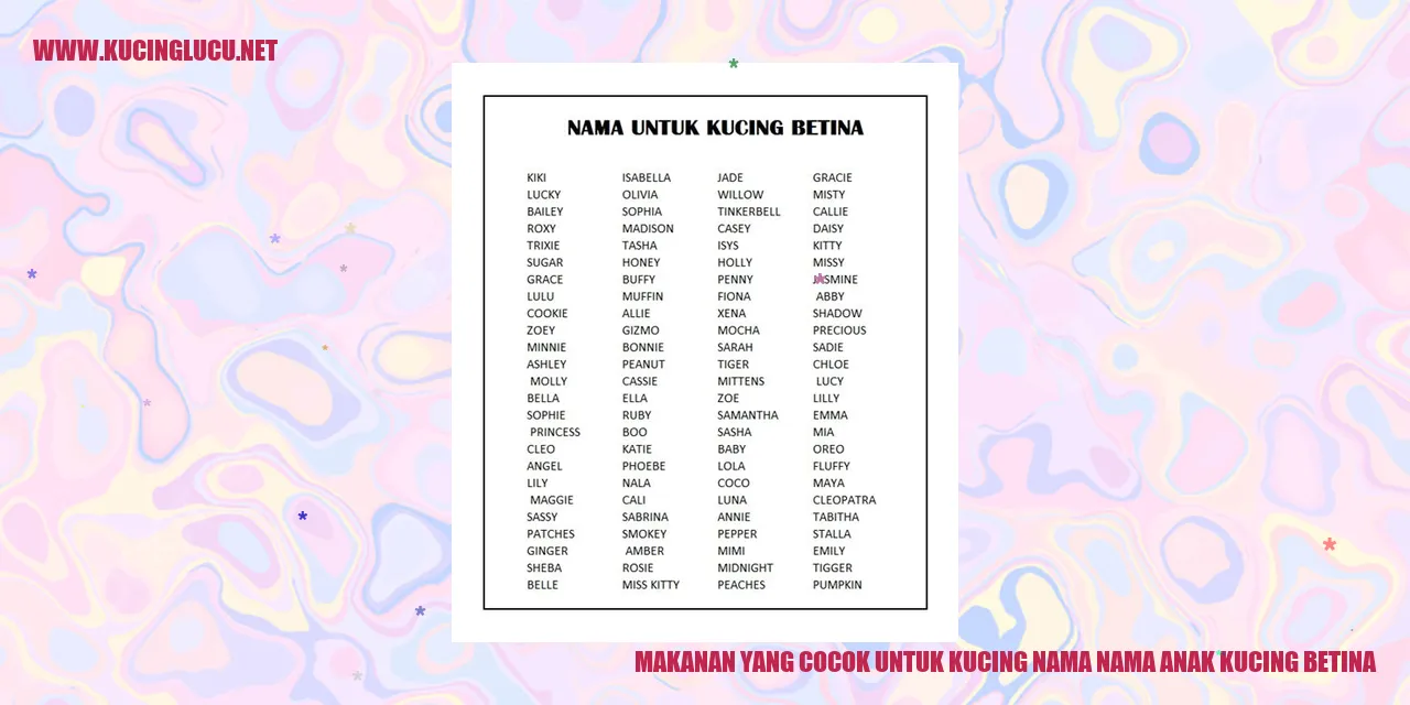 gambar makanan kucing yang cocok