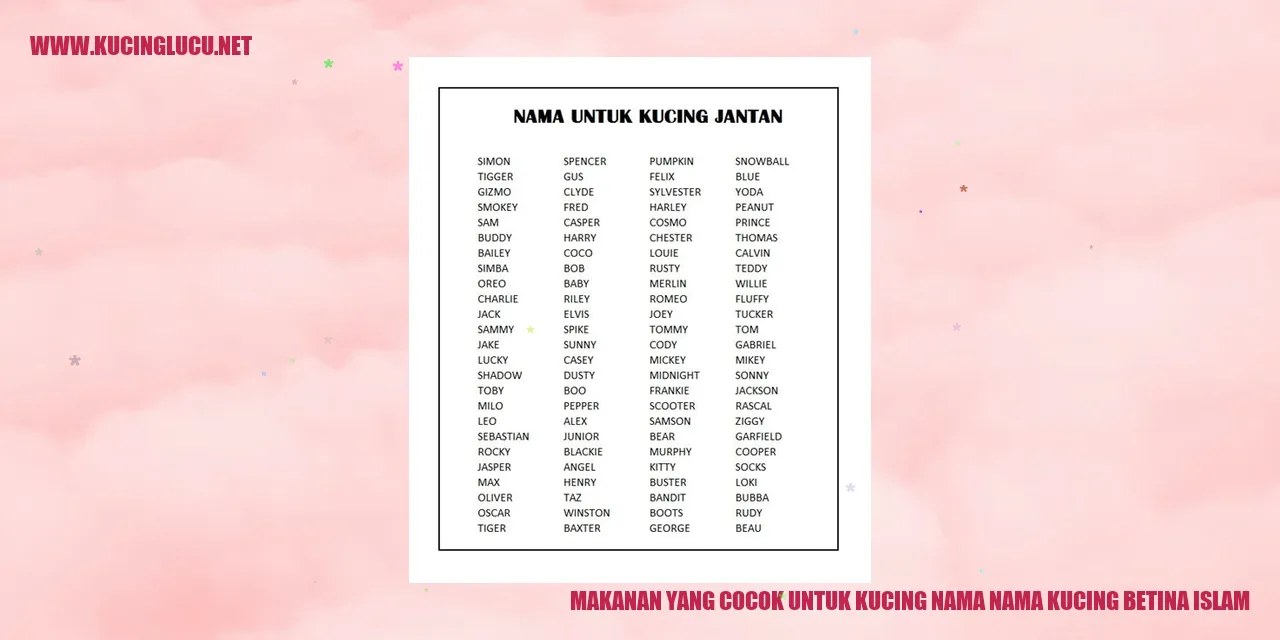 gambar kucing