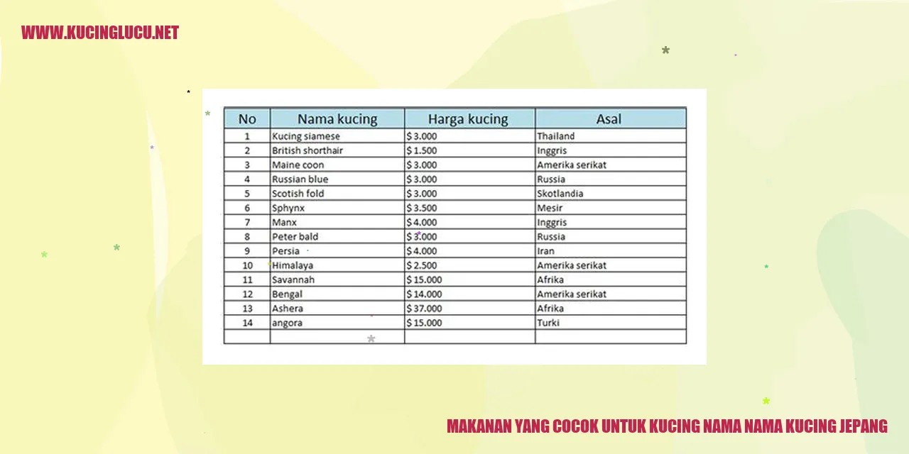 Makanan Kucing
