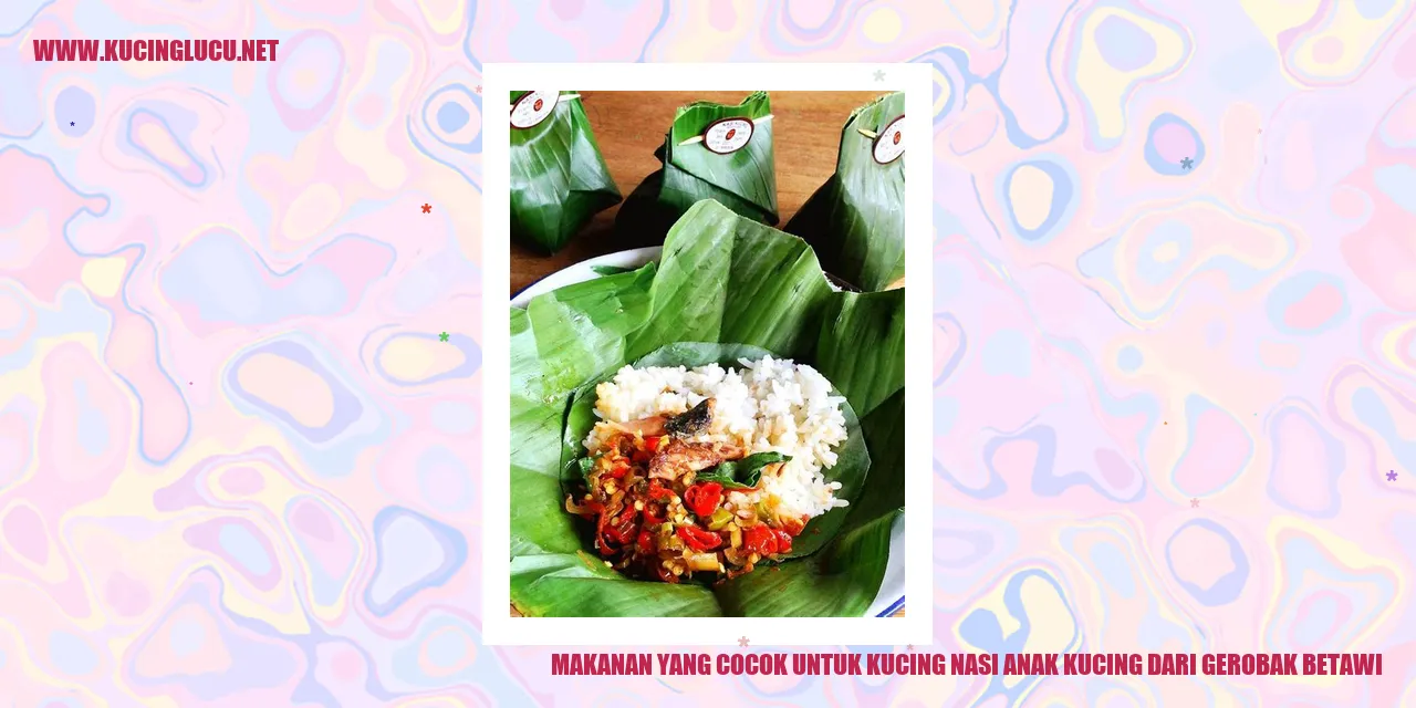 Gambar Kucing dan Nasi Anak Kucing Gerobak Betawi