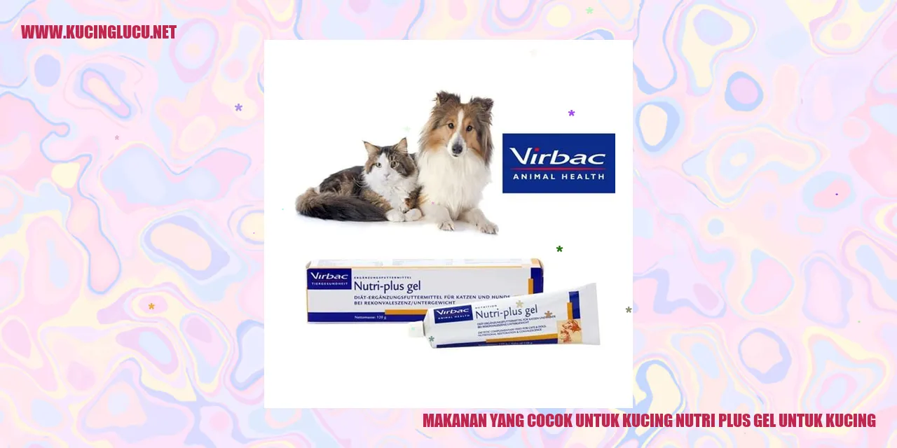 Gambar Makanan Kucing