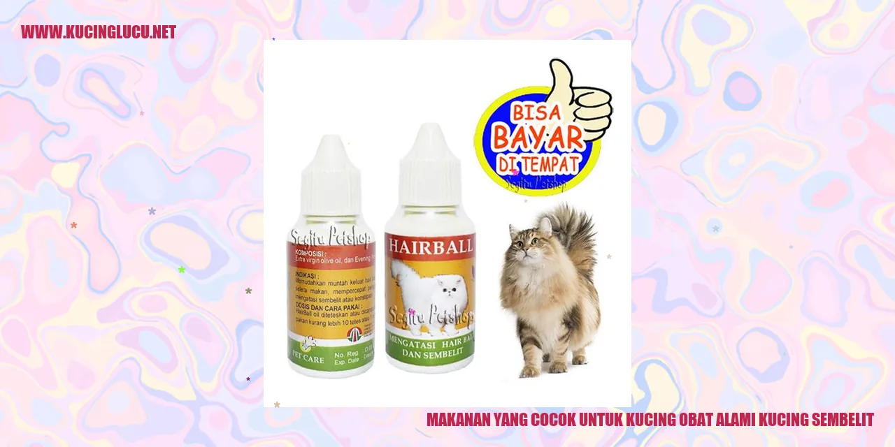 Makanan yang Cocok untuk Kucing obat alami kucing sembelit