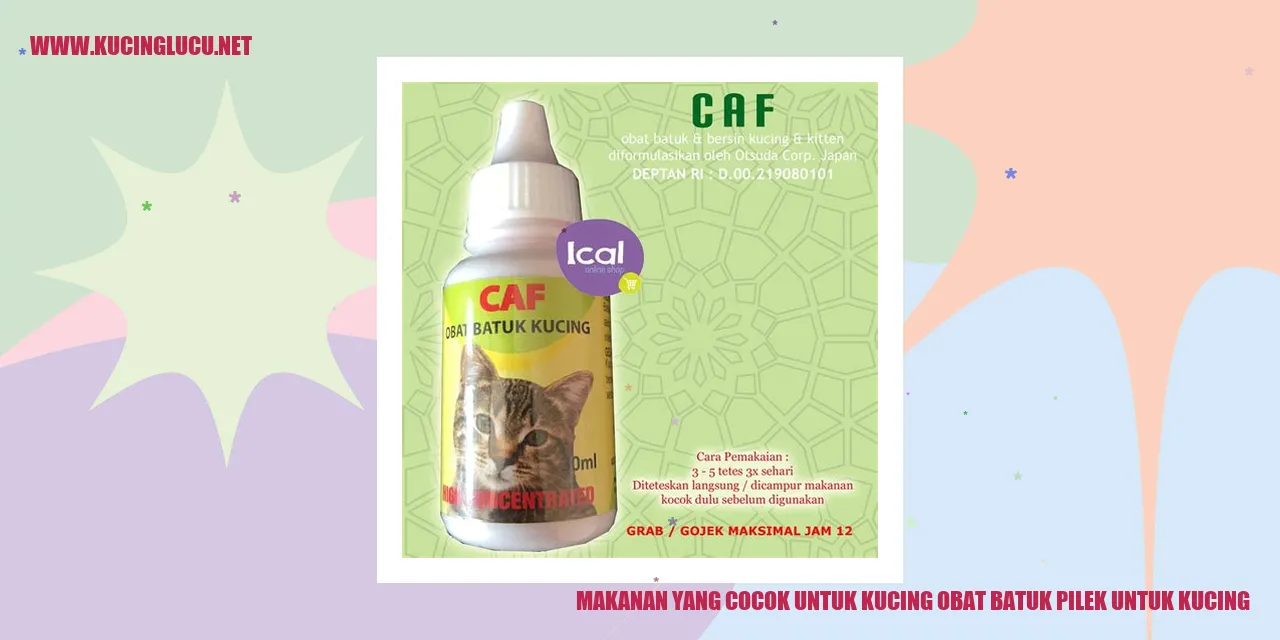 Gambar Kucing Menikmati Makanan Sehat