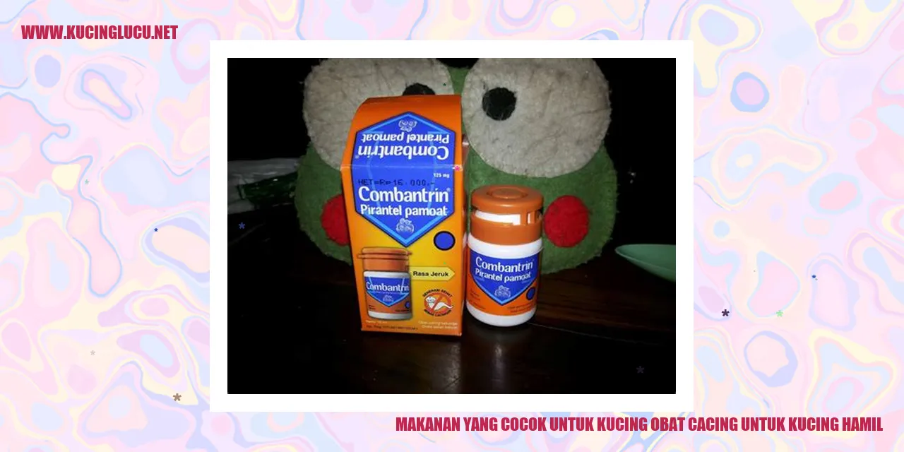 Makanan yang Cocok untuk Kucing obat cacing untuk kucing hamil