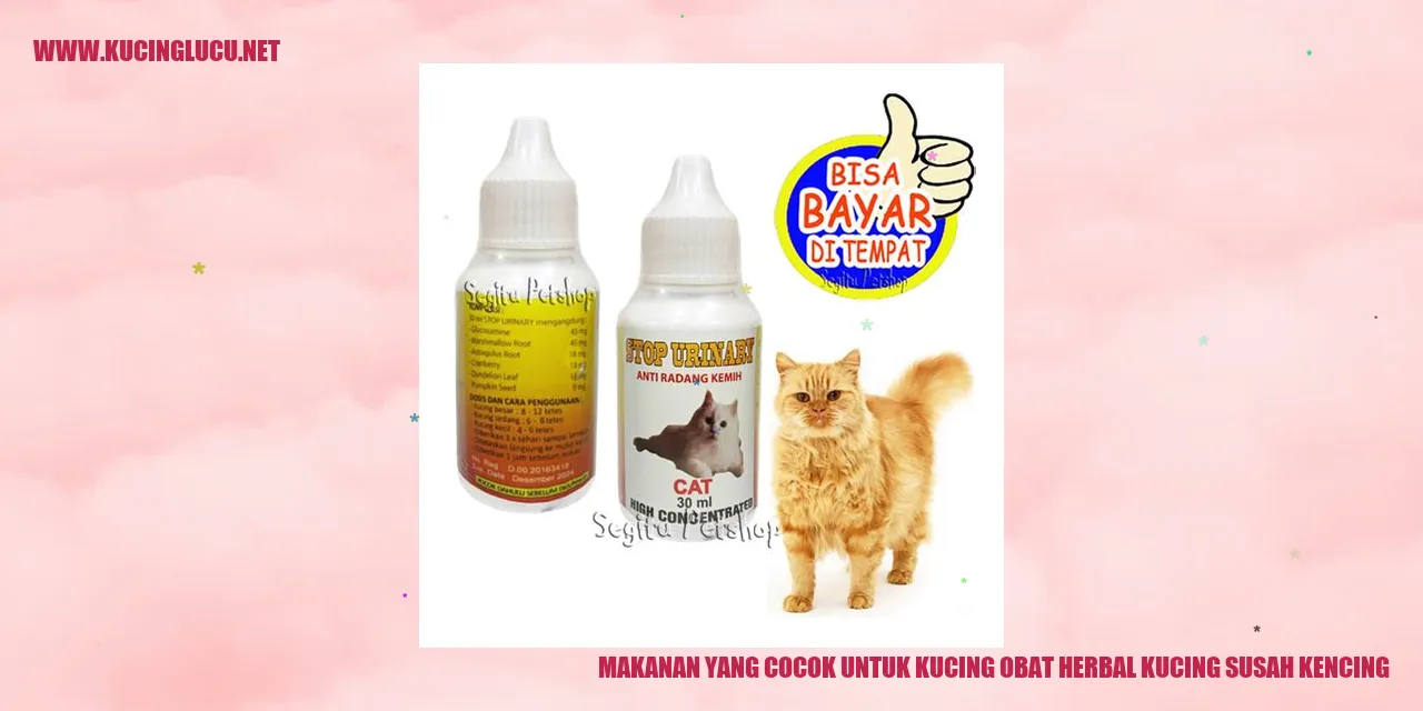 Makanan kucing