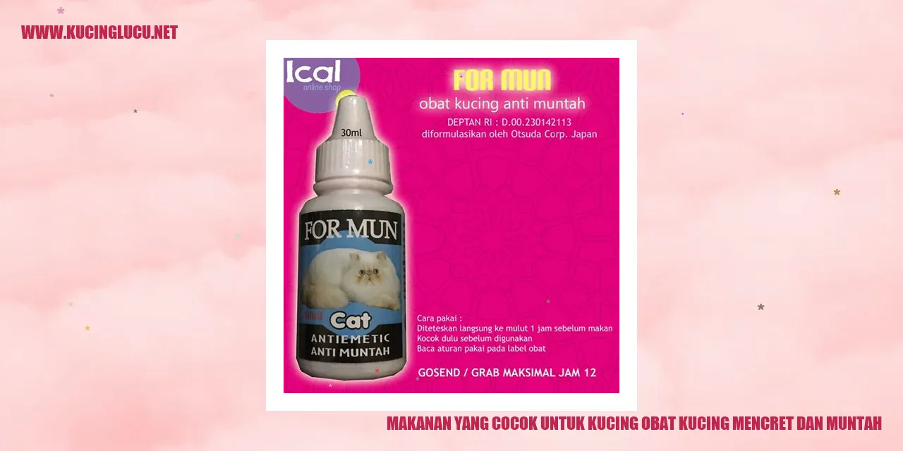 Makanan yang Cocok untuk Kucing obat kucing mencret dan muntah
