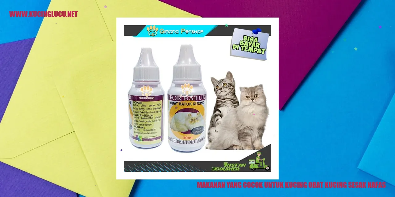 Gambar Makanan untuk Kucing