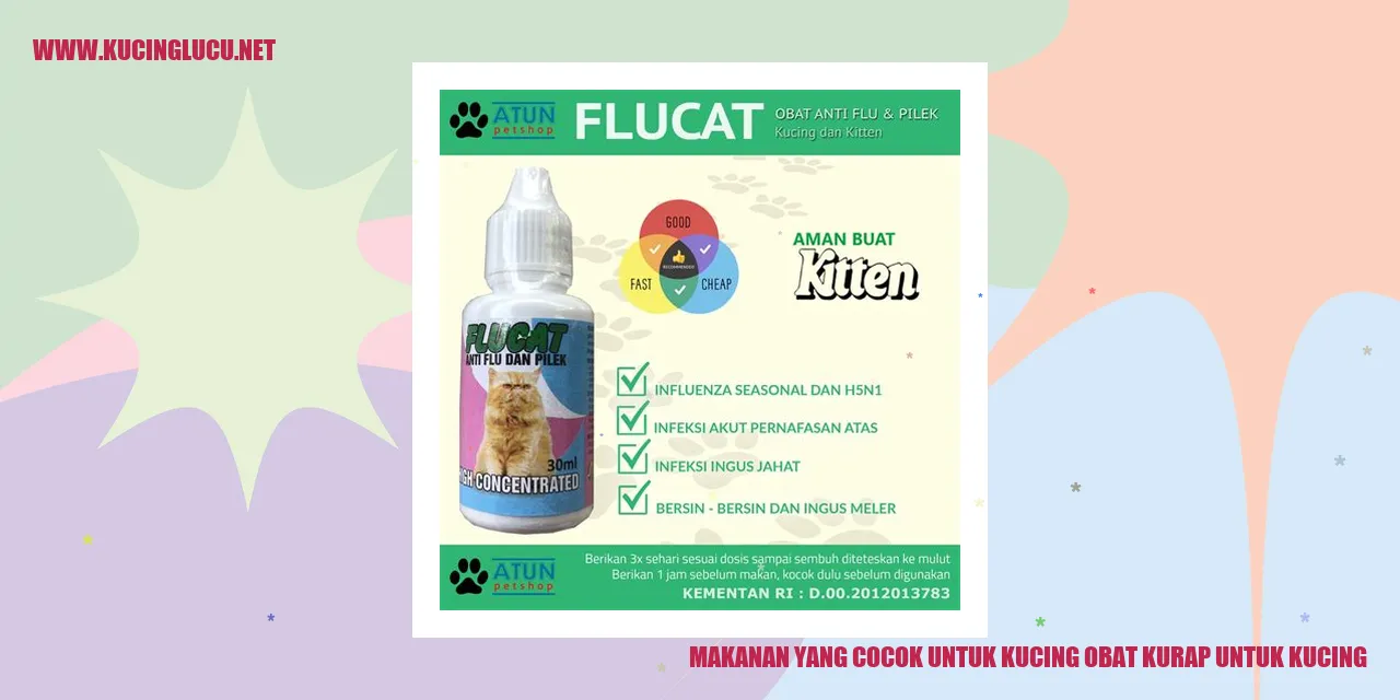 Makanan untuk kucing