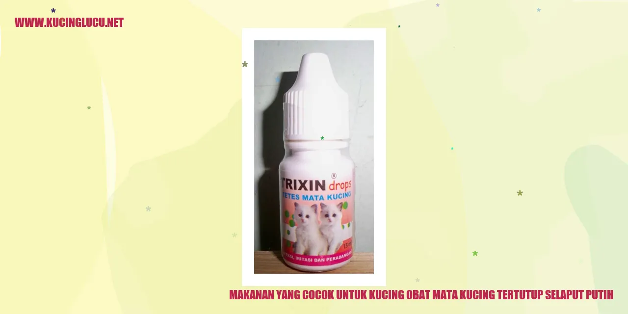 Makanan yang Cocok untuk Kucing obat mata kucing tertutup selaput putih