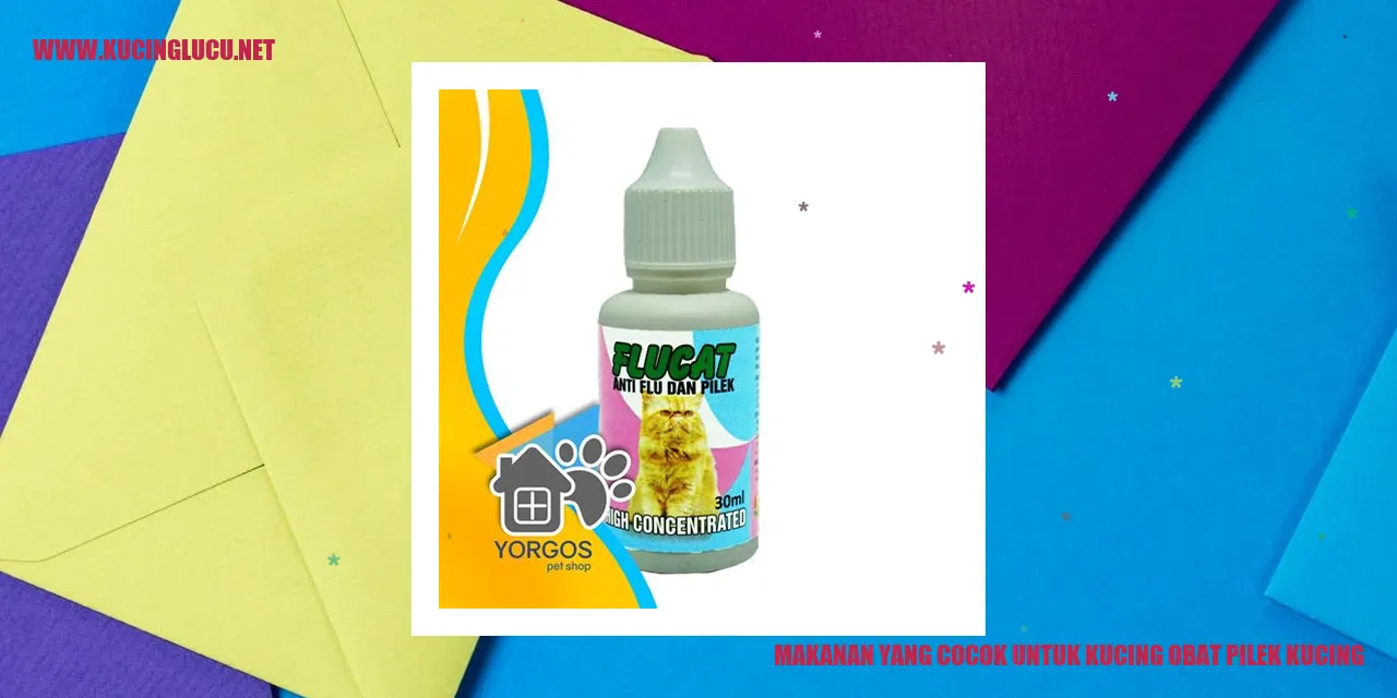 Gambar kucing yang sedang makan