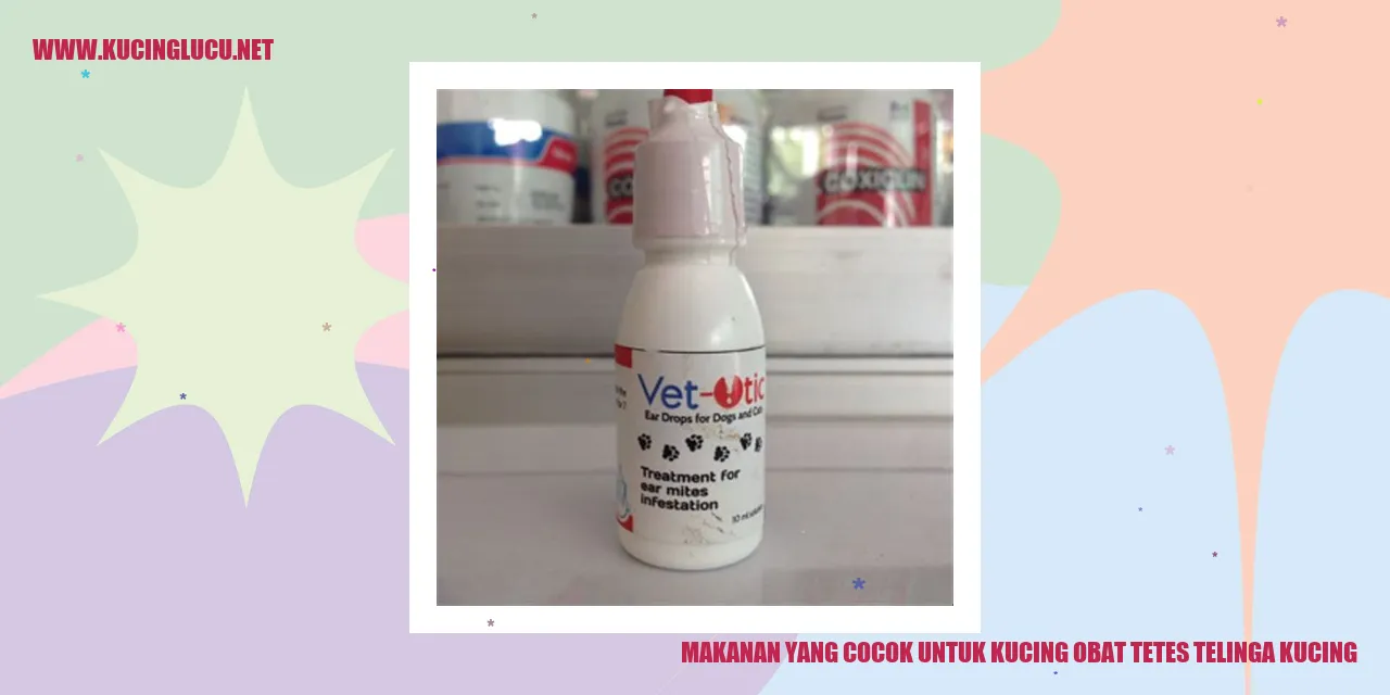 Gambar Makanan untuk Kucing
