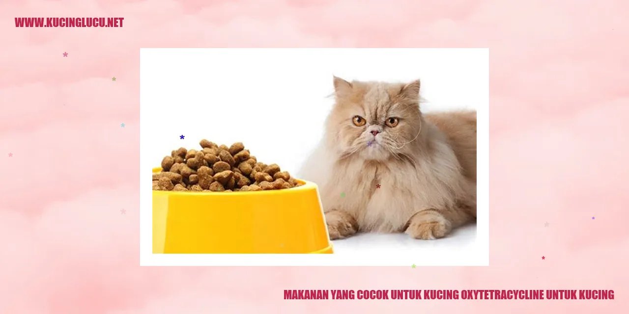 Makanan yang Cocok untuk Kucing