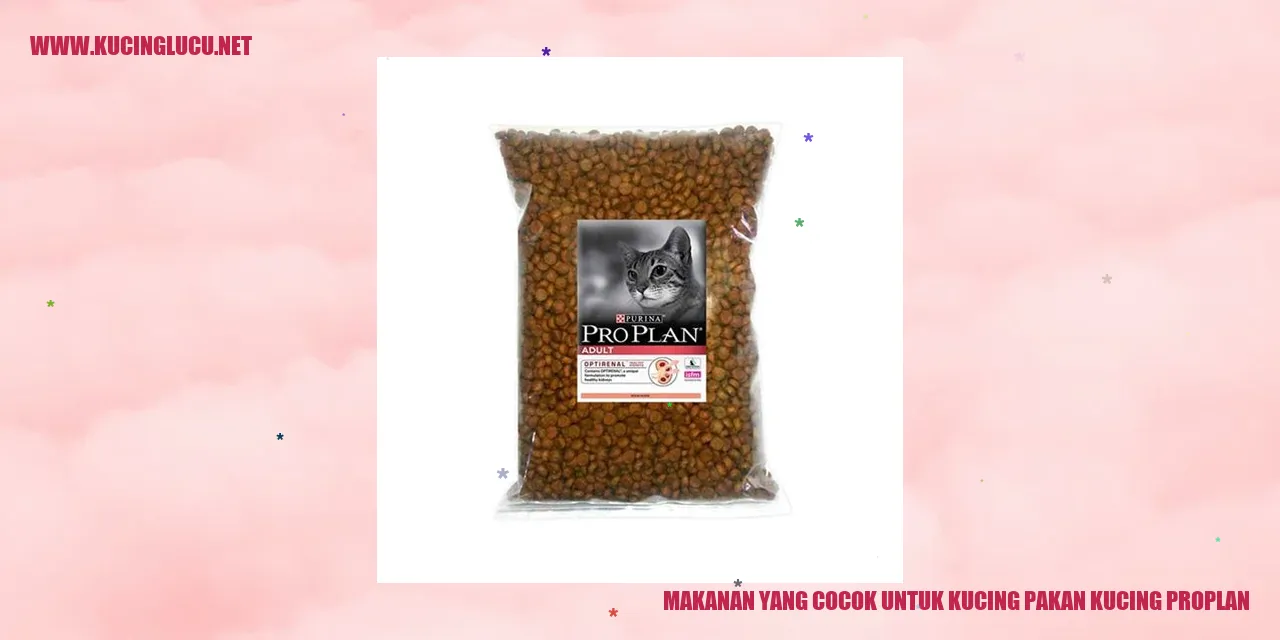 Makanan yang Cocok untuk Kucing