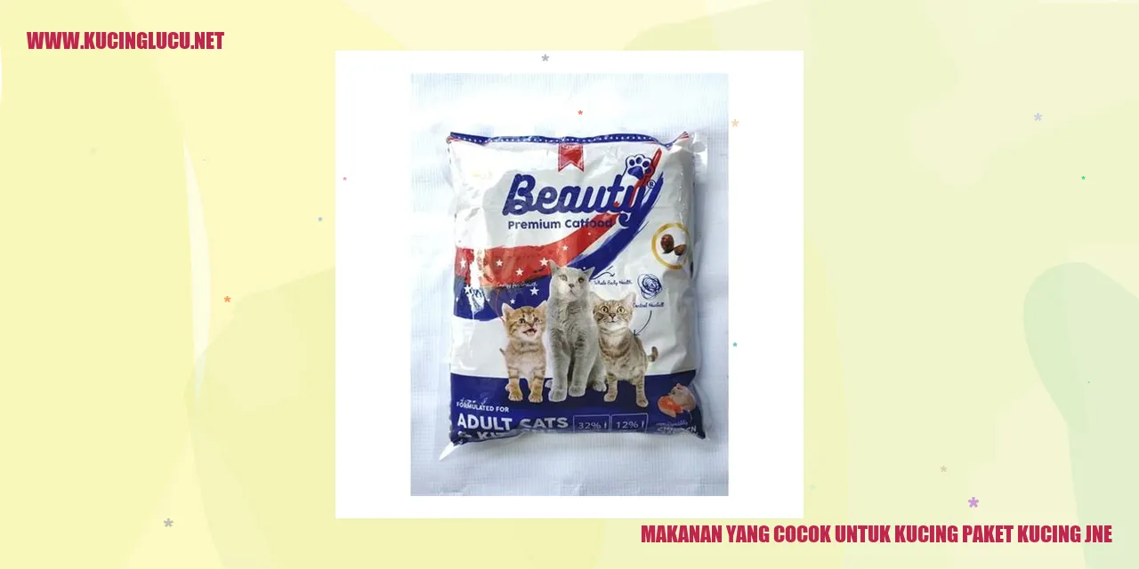 Gambar kucing