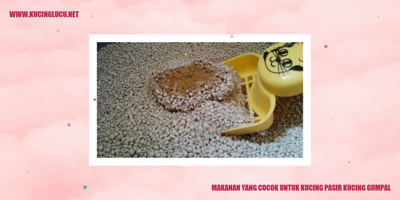 Makanan untuk Kucing